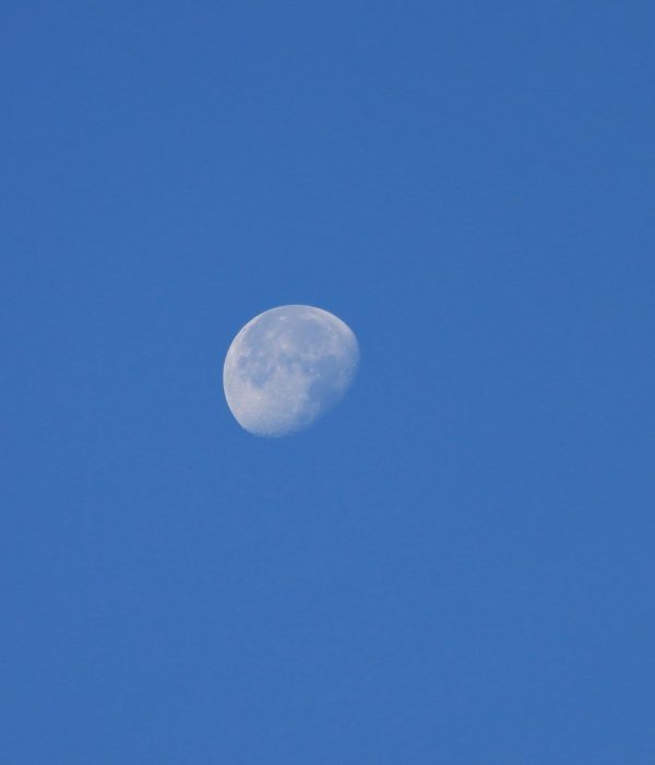 Waning Gibbous Moon: Gratitude as a Ritual of Power